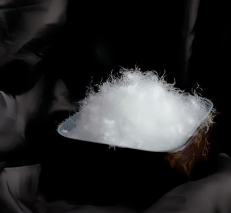 Siberian Goose Down The Warmth of Nature PETERHANUN