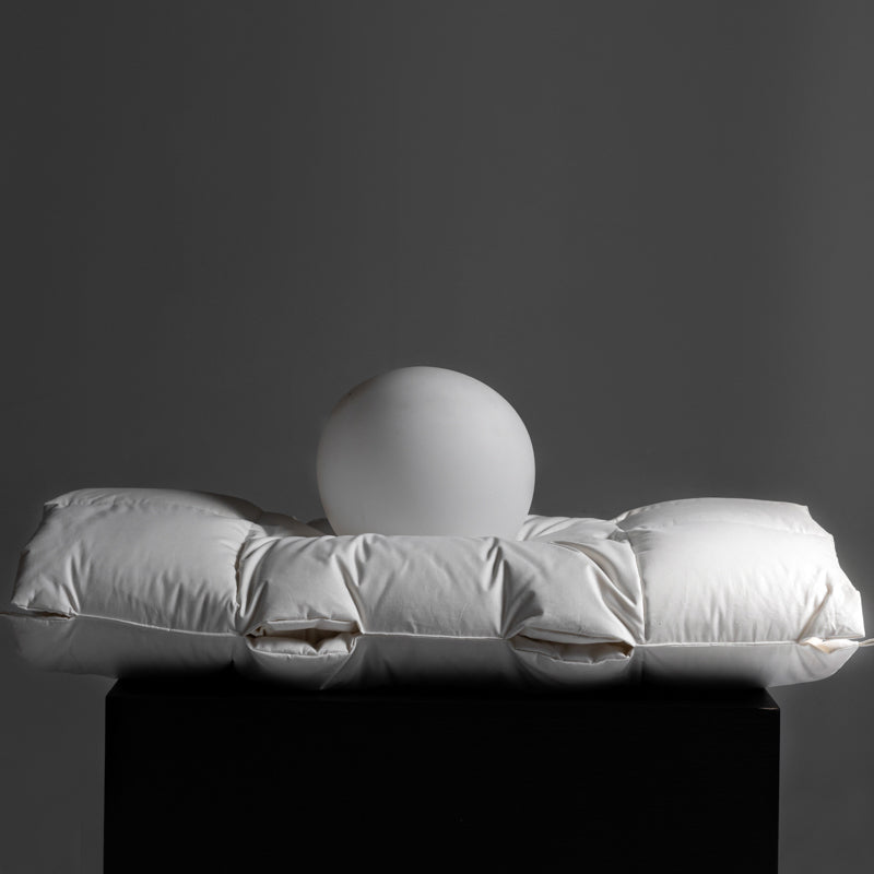 Ergonomic Neck Support Goose Down Pillow