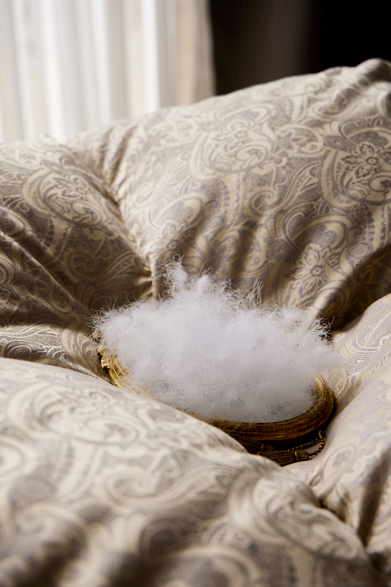 900 Loft Polish Royal Goose Down Duvet