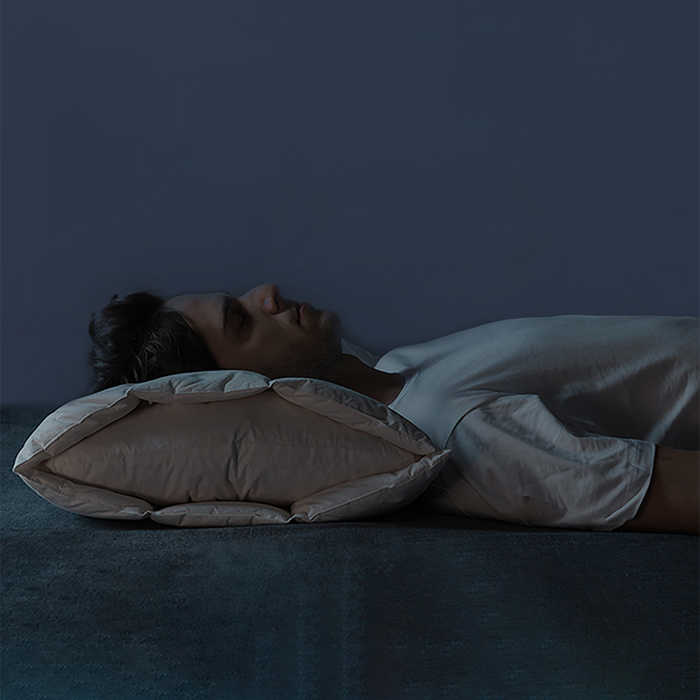 Ergonomic Neck Support Goose Down Pillow