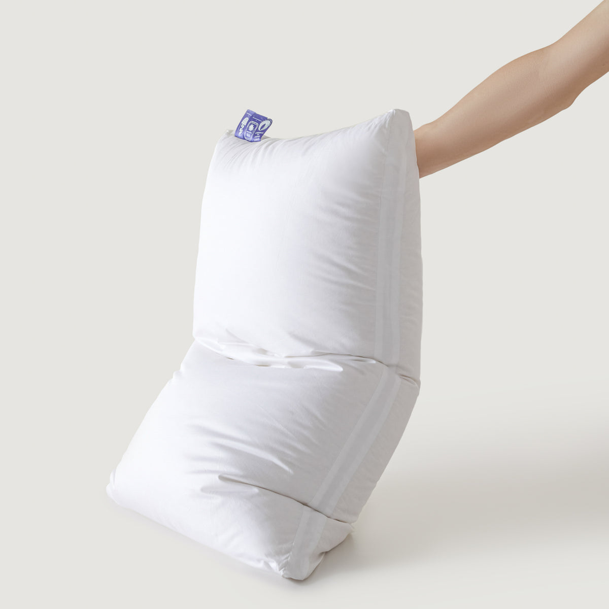 Detachable Goose Down Pillow
