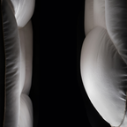 Neck Support Down Pillow