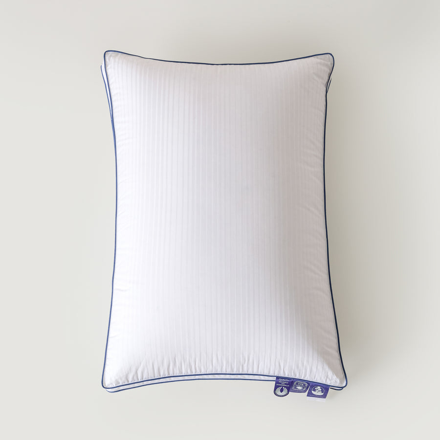 20 by 30 inch pillow dimensions