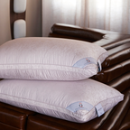 Silk Pure Iceland Goose Down Pillow