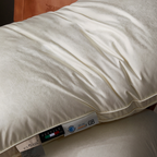 Silk Pure Iceland Goose Down Pillow